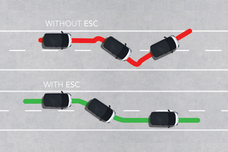 ELECTRONIC STABILITY CONTROL (ESC)