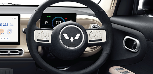 Multifunction Steering Switch