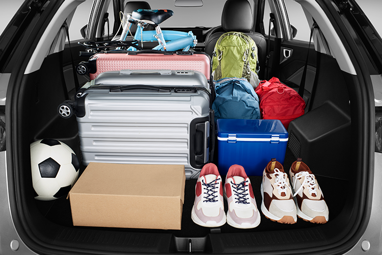 Practical Up to 625L