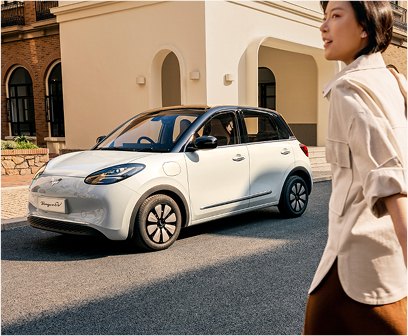 Ev Battery